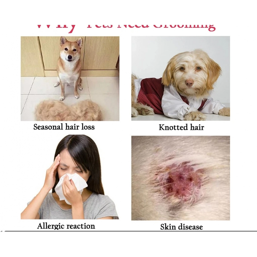 Professional Pet Deshedding Brush Dog Hair Remover Pet Fur Knot Cutter Puppy Cat Comb Brushes Dogs Grooming Shedding Supplies Professional Pet Deshedding Brush Dog Hair Remover Pet Fur Knot Cutter Puppy Cat Comb Brushes Dogs Grooming Shedding Supplies