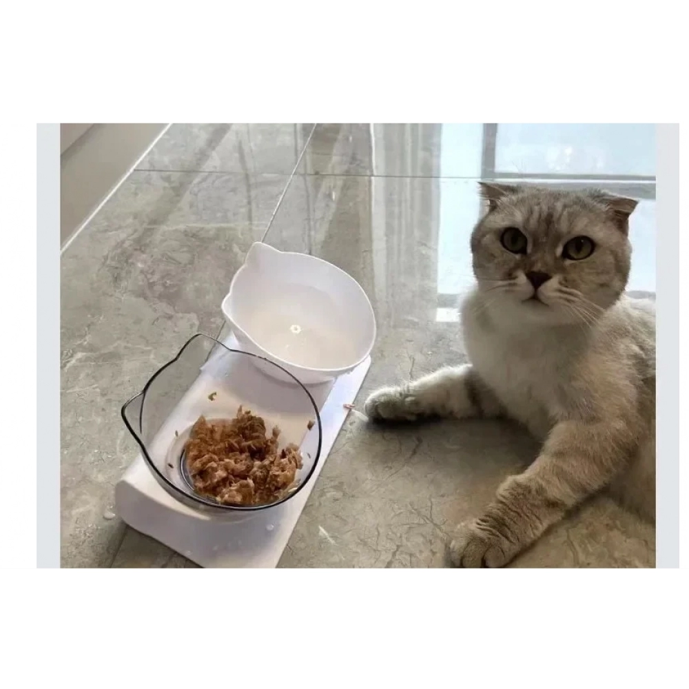 Non-Slip Double Cat Bowl Pet Water Food Feed Dog Bowls Pet Bowl With Inclination Stand Cats Feeder Feeding Bowl Kitten Supplies Non-Slip Double Cat Bowl Pet Water Food Feed Dog Bowls Pet Bowl With Inclination Stand Cats Feeder Feeding Bowl Kitten Supplies