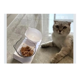 Non-Slip Double Cat Bowl Pet Water Food Feed Dog Bowls Pet Bowl With Inclination Stand Cats Feeder Feeding Bowl Kitten Supplies